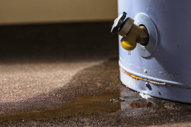 Best Fire Damage Restoration  in Holbrook, AZ