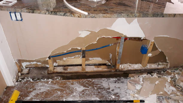 Best Water damage cleanup near me  in Holbrook, AZ