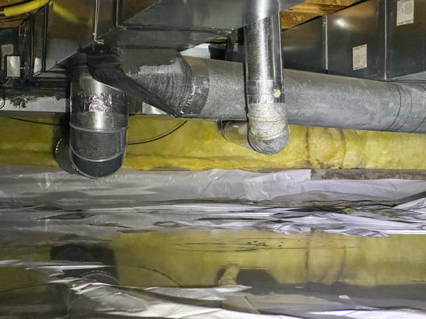 Best Flooded house restoration  in Holbrook, AZ