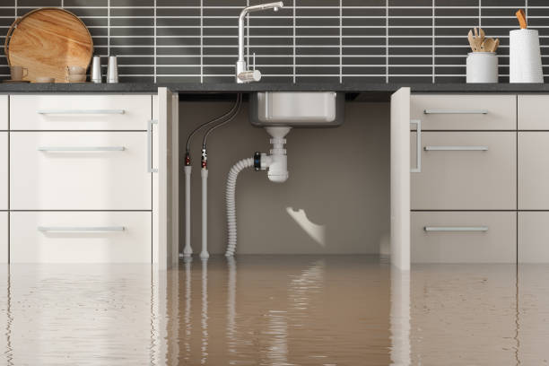 Best Ceiling water damage repair  in Holbrook, AZ